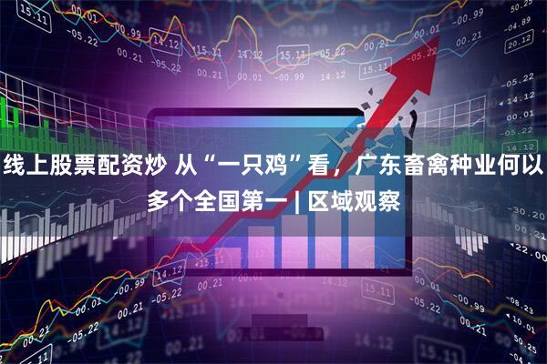 线上股票配资炒 从“一只鸡”看，广东畜禽种业何以多个全国第一 | 区域观察