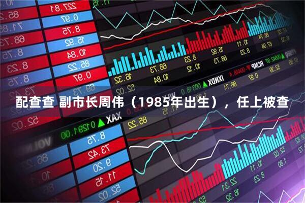 配查查 副市长周伟（1985年出生），任上被查